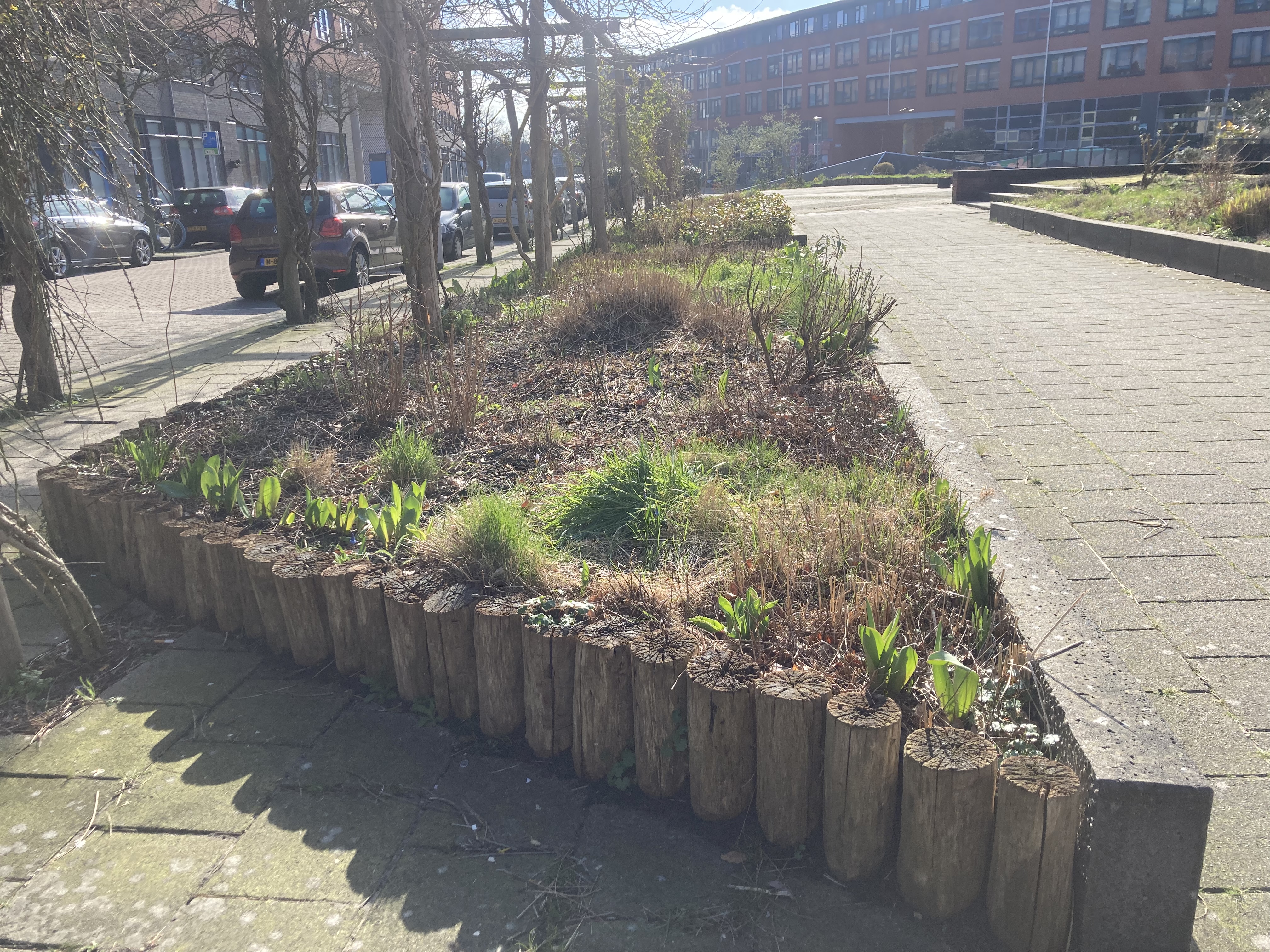 De Club van de Luie Vrolijke Tuinier gaat van start