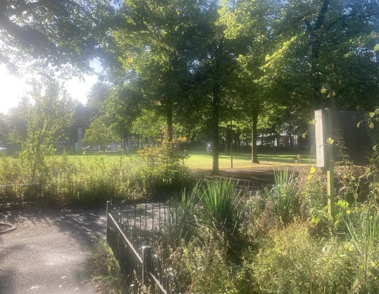 Tuindagboek #15 Hoe word je een luie vrolijke tuinier?
