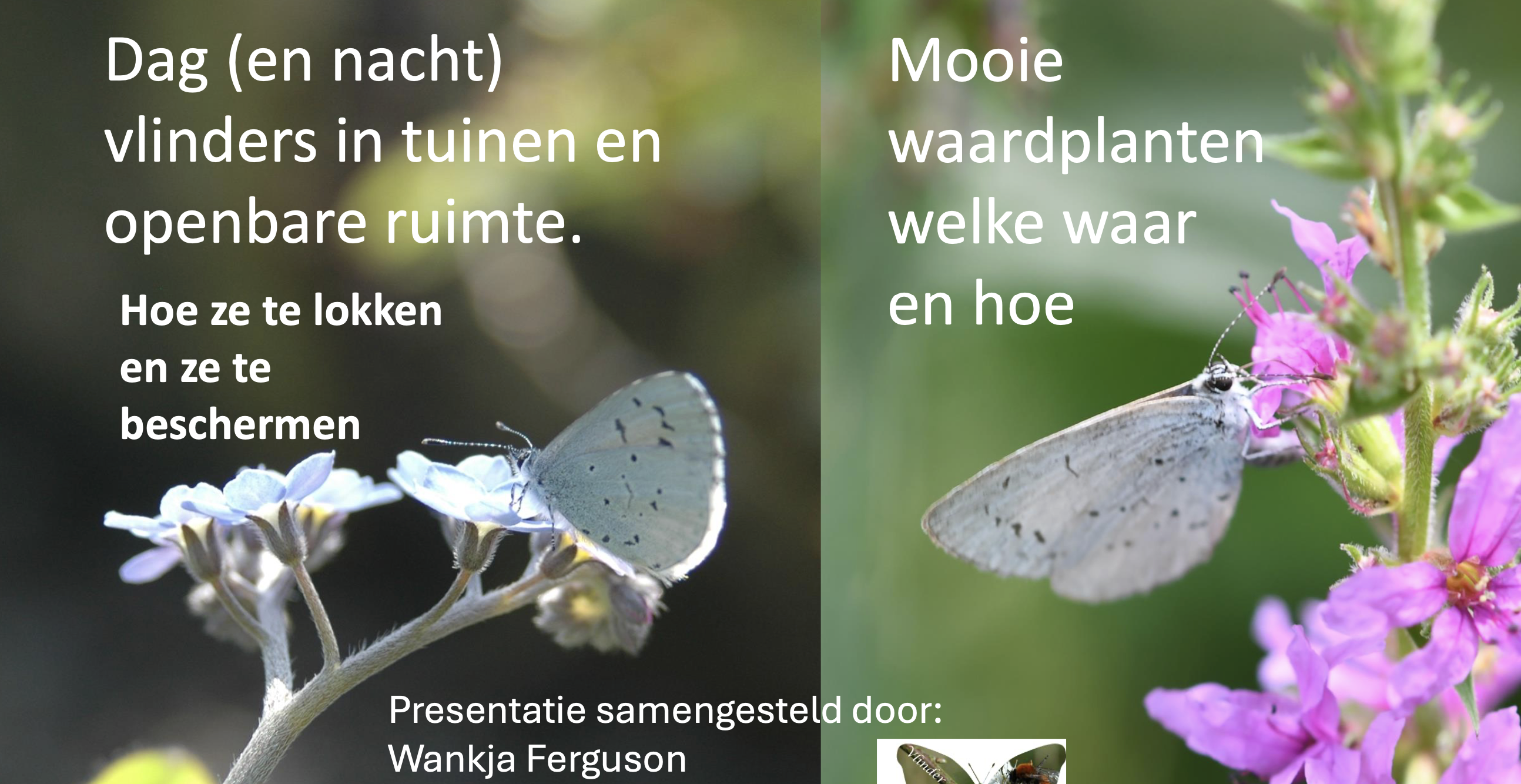 Een kraamkameroverzicht voor de natuurvriendelijke tuinier